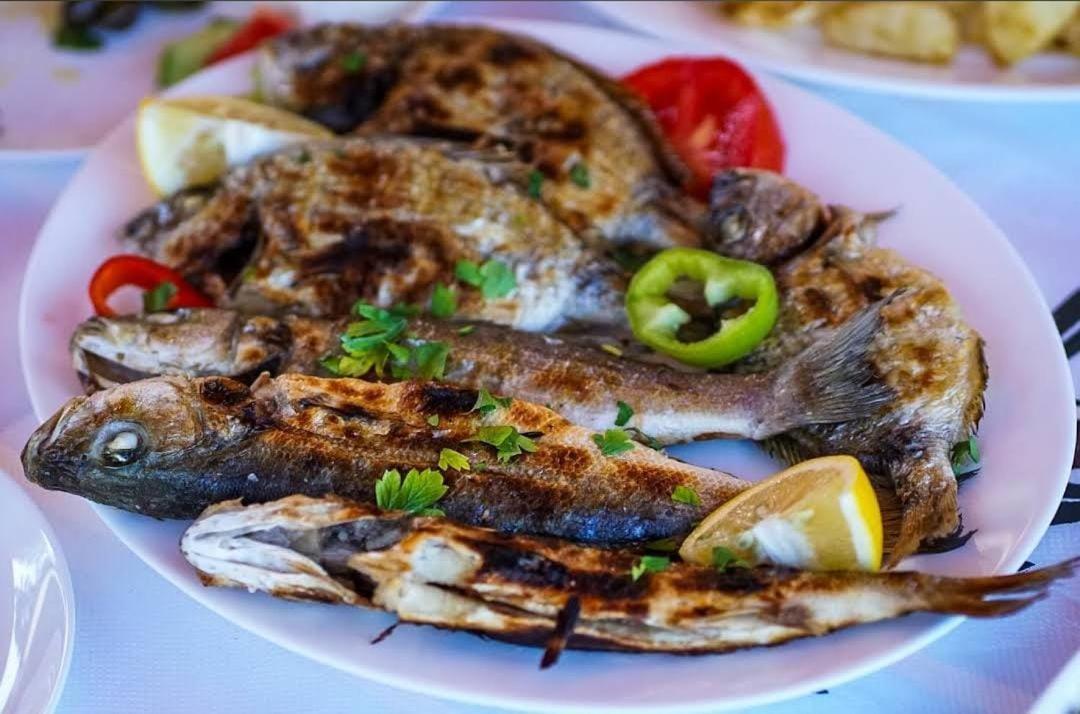 Hotel Restorant Olti Shetaj 외부 사진